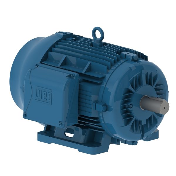 MOTOR WEG W22 SEVERE DUTY 100 HP 4 POLOS ARMAZON 404/5T